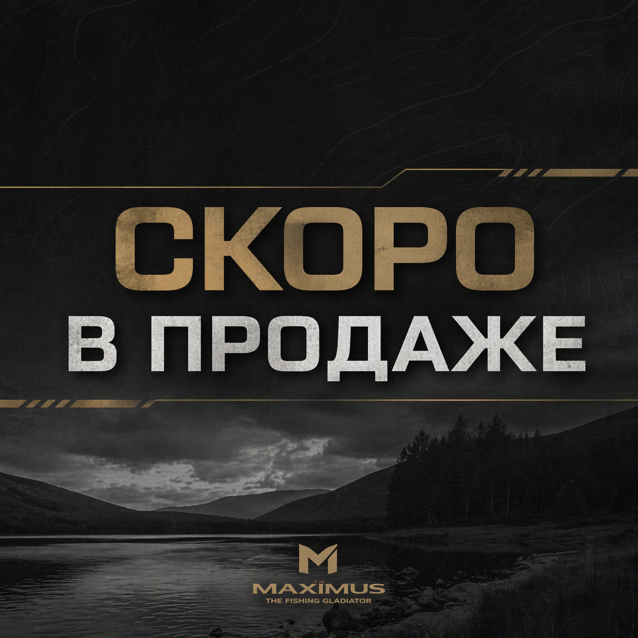 Шнур Maximus 4PE