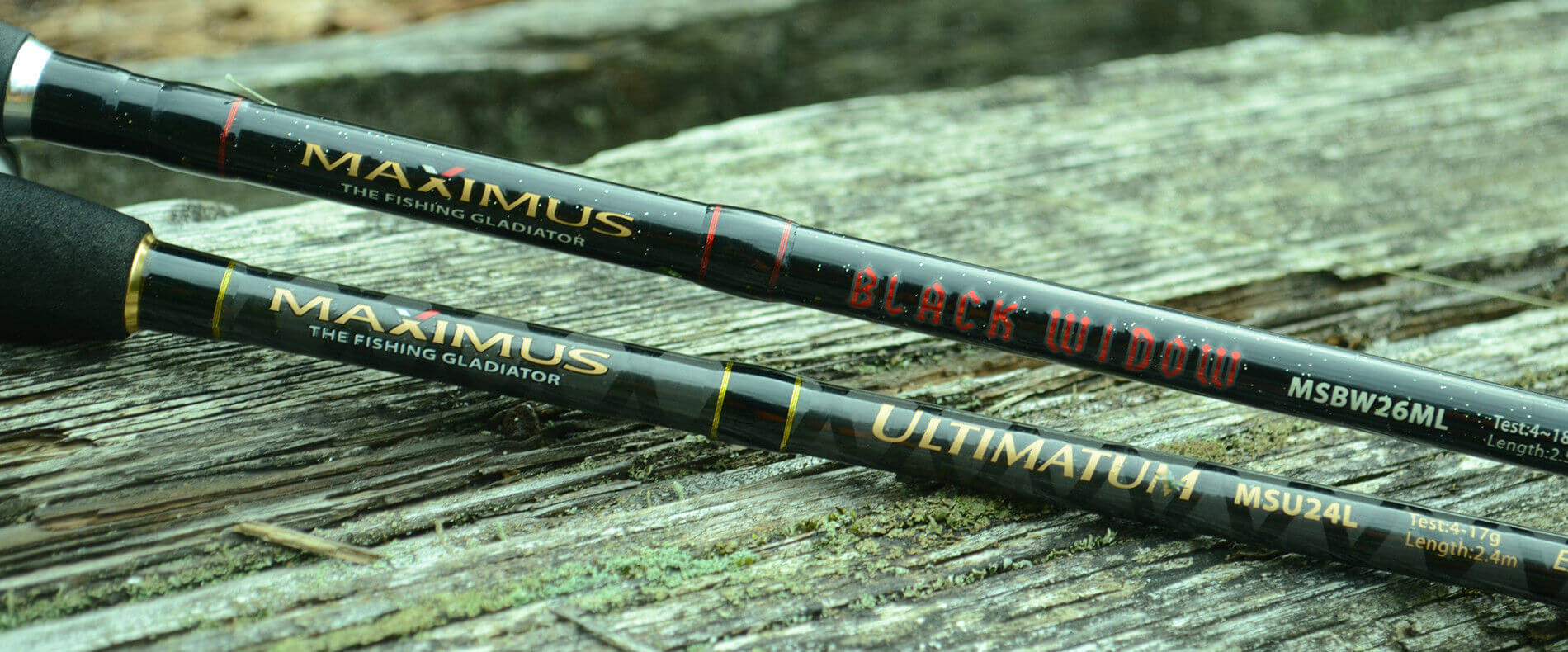 MAXIMUS rods  Official site